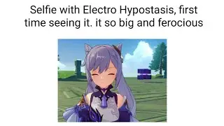 Genshin Impact Memes #5