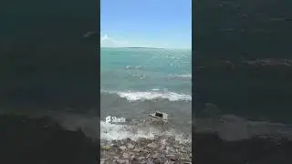 Опробуем новый тренд😎