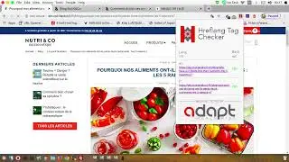 PrestaShop Automatic Hreflang and Canonical Tags All Pages and Blogs Pages Screenshots