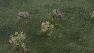 caroline - Good morning (red) (Official Video)