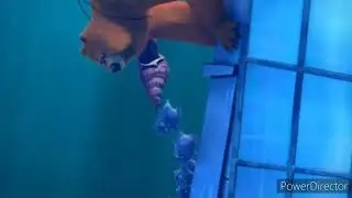 grizzy and the lemmings underwater scene 3