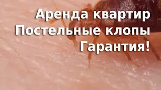 Аренда квартир клопы и гарантия