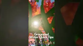 Grounded | Water Quick Tips 