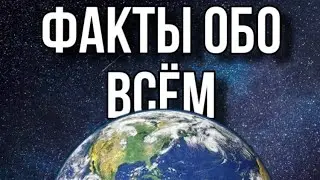 ФАКТЫ ОБО ВСЁМ
