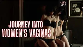 Journey Into the shape, size, and colour of Women's vaginas