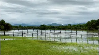 I Miss You My Village