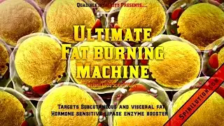 ★The Ultimate Fat Burning Machine★