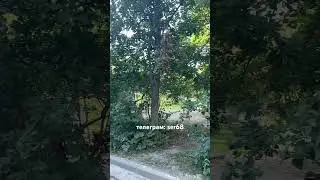 Завтра выходные 