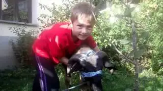 Me,15 10 2013 Drita e kesaj dite le te ngroh per shpirtin tuaj Malsor
