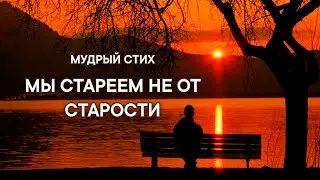 Трогательный стих. Мы стареем не от старости. Не от прожитых годов. Мы стареем От обид и от грехов