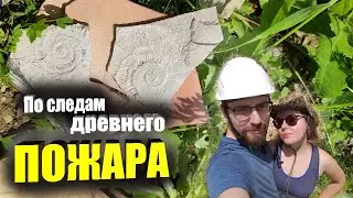 Первые АММОНИТЫ в коллекции | Карьер ГОРЕЛЫХ сланцев | Консервация окаменелостей