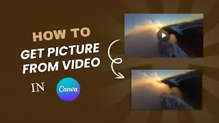 How to Get Picture from Video in Canva | Extract Images from Scenes