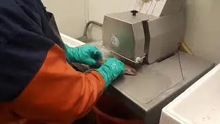 Машина для отрезания плавников и хвостов STEEN ST 540