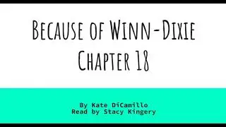 Because of Winn Dixie, Chapter 18