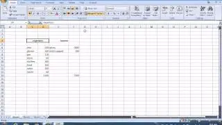 excel basics