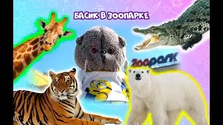 ЗООПАРК В САНКТ-ПЕТЕРБУРГЕ / БАСИК И ХОЗЯЙКИ В ЗООПАРКЕ / ZOO #басик #basik