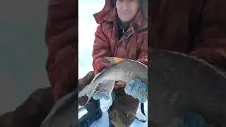 Во Андрюха вытащил
