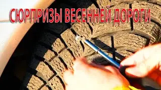 СЮРПРИЗЫ ВЕСЕННЕЙ ДОРОГИ