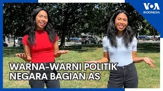 Warna Warni Politik Negara Bagian AS: Merah, Biru, dan Ungu