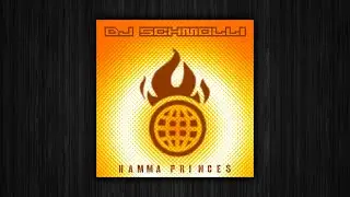 DJ Schmolli - Hamma Princes