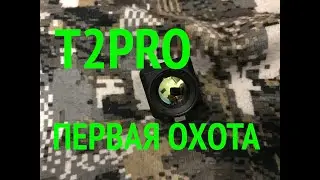 Infiray T2 Pro Search: ПЕРВАЯ ОХОТА