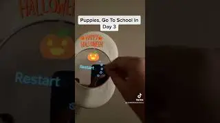 Puppies Go To School Part ￼3