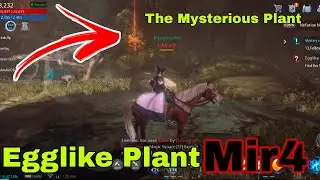 Egglike Plant - Find The Mysterious Plant | Mir4 Request Mission