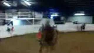 jaripe en el zacatecano