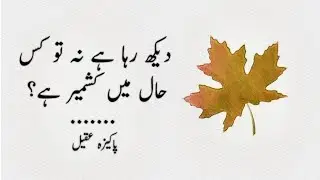 Kis Haal Main Kashmir Hai | Kashmir Poem | Pakizah Aqeel |  دیکھ رہا ہے نہ تو کس حال میں کشمیر ہے؟