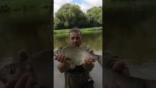 Лящ на фідер #українськарибалка