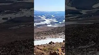 Стадо оленей словно шевелящиеся камни гор 