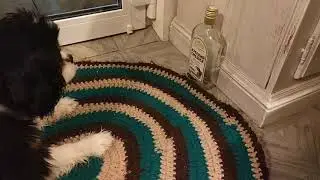 Пьянству бой!
