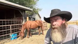 Three Things I’ll Never Do To My Horse Again
