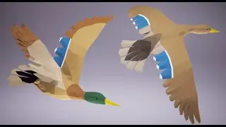 Low Poly Bird: Mallard Duck (Stylized Character for Unreal Engine & Unity)
