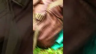 Не смешные истории в походе.  Китайский рюкзак не выдержал. #shorts