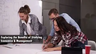 Exploring the Benefits of Studying Economics & Management | Academia Magazine