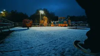 Весна во всей красе: цветущие деревья и танцы после снегопада