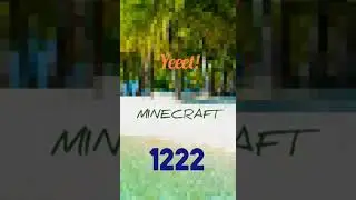 Lil Yeeet 1222 - MINECRAFT (Music, 2020) [Official Viewer]