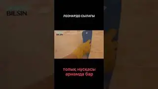 ЛЕОНАРДО ҚАЛАЙ ЖАСАЛАДЫ?