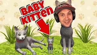 I Had a Baby Kitten... | Cat Simulator 2020