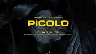 BURNA BOY X WIZKID X OMAH LAY X AFROSWING TYPE BEAT "PICOLO" 2024