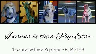 "I wanna be the a Pup Star" lyrics - PUP STAR