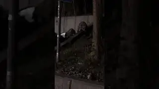 Кто здесь
