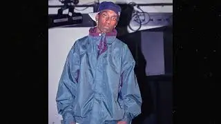 (FREE) Big L x LoFi 90s Boom Bap Type Beat - 
