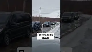 #мемы #приколы #рекомендации #рек #топ #подпишись #follow #macan #avg #mercedes #amg #litvin
