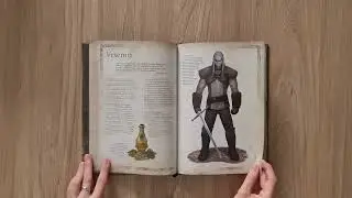 Codex Le Sorceleur (The Witcher Codex)