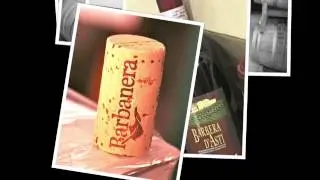 in tour fra le colline del Nizza e la festa della BARBERA di NIZZA 2014