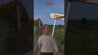 DAYZ NOT AFRAID
