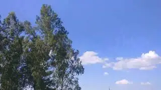 12 июля 2022 г.