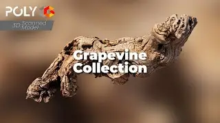 3D Grapevine Woods Collection | Realistic 3D Scanned Assets with 4K & 8K PBR Textures